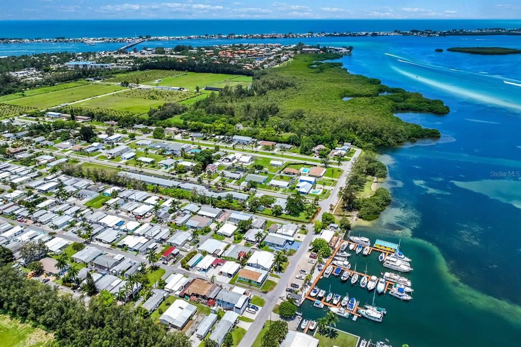 Aerial View of Sunny Shores Neighborhood and Parrot Cove Marina
