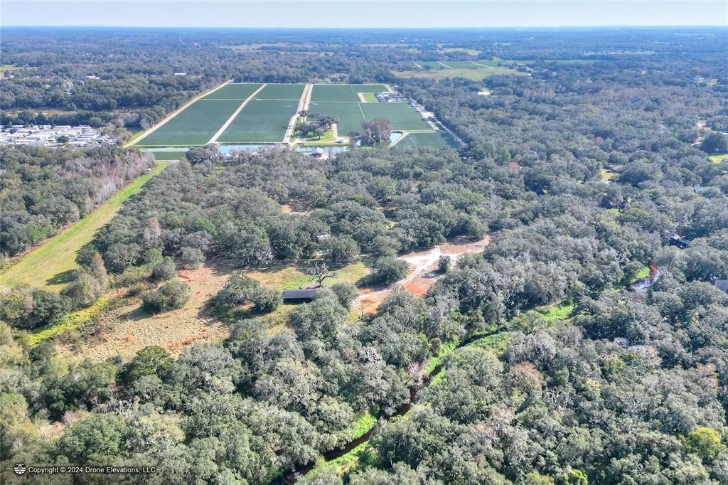 For Sale: $950,000 (25.00 acres)
