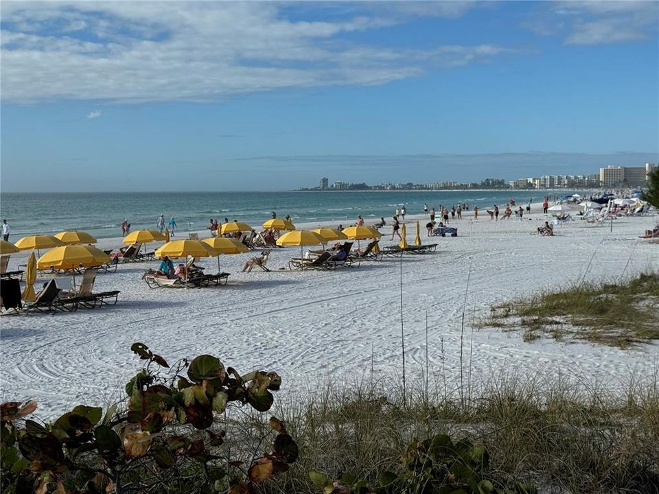 Siesta key beach