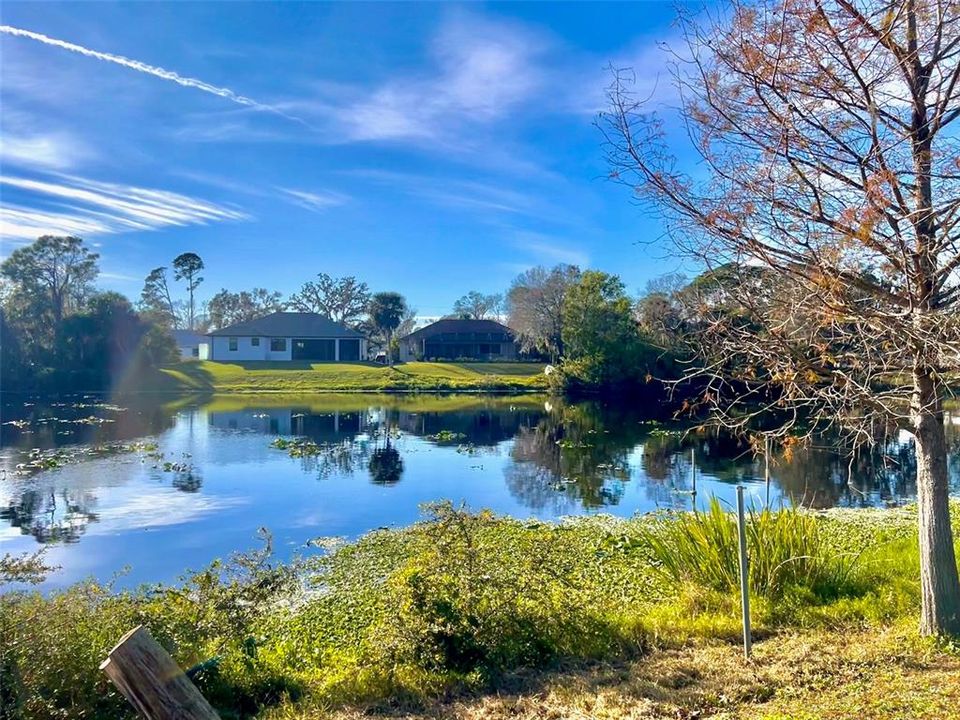 Water views