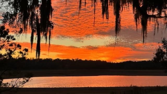 colors of the fading day - from your own back porch