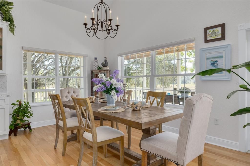 dining area - flooded with light