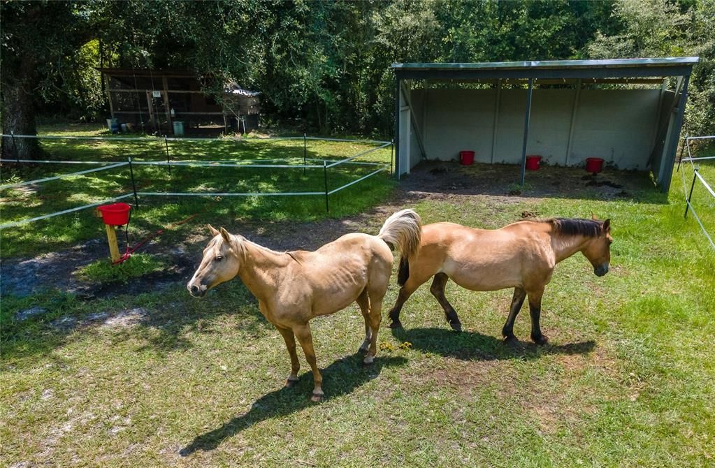 Vendido Recientemente: $499,999 (3 camas, 2 baños, 1887 Pies cuadrados)