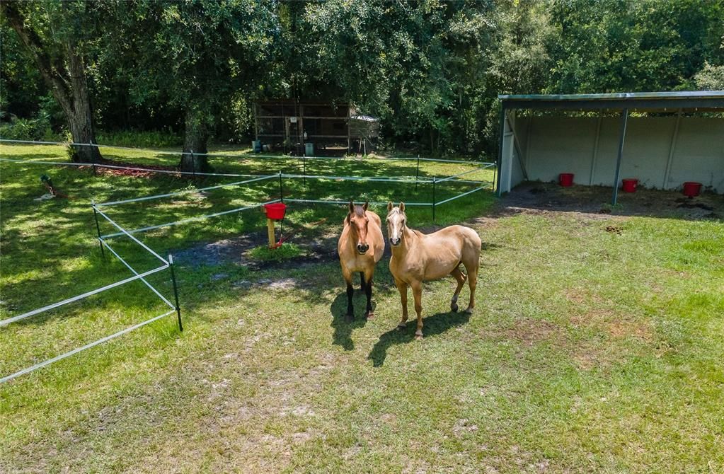 Vendido Recientemente: $499,999 (3 camas, 2 baños, 1887 Pies cuadrados)