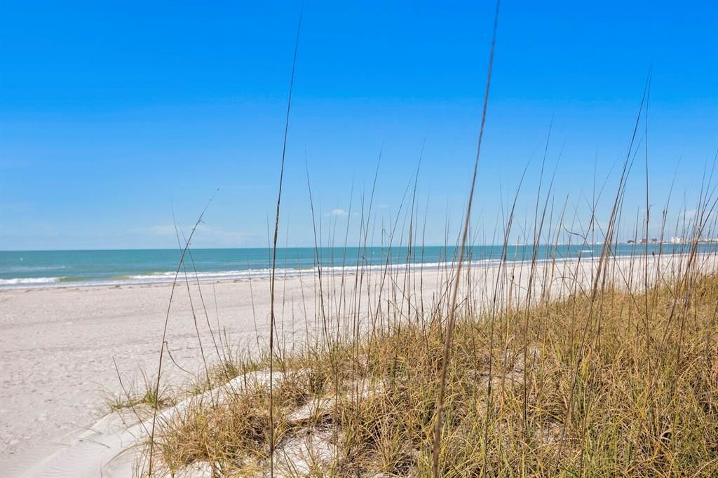 Sea Oats at Beach Access