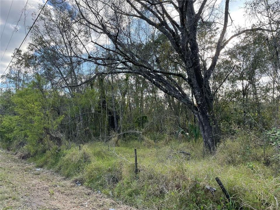 For Sale: $147,500 (3.82 acres)