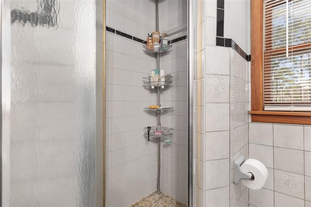 Shower of Primary bathroom in loft