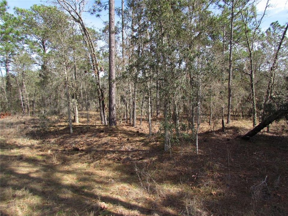 Recently Sold: $22,600 (1.00 acres)