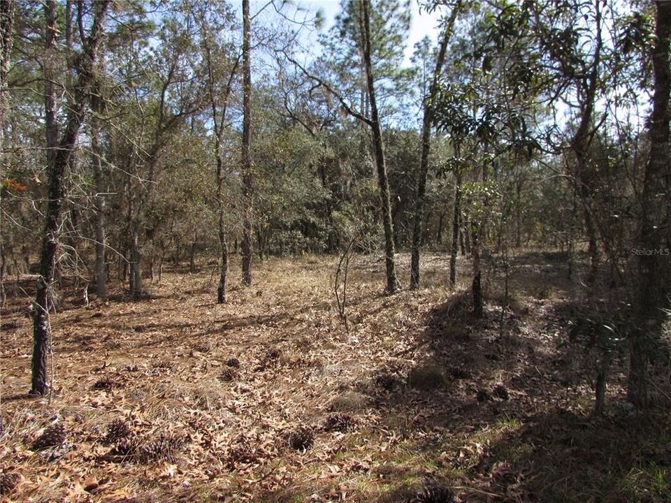 Recently Sold: $22,600 (1.00 acres)