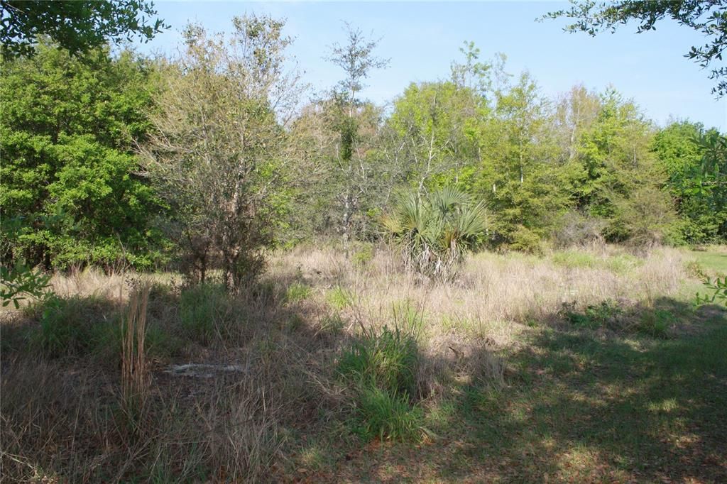 For Sale: $124,900 (1.76 acres)