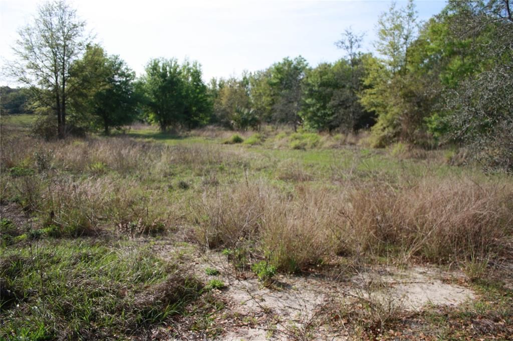 For Sale: $124,900 (1.76 acres)