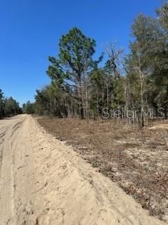 Recently Sold: $10,595 (0.46 acres)