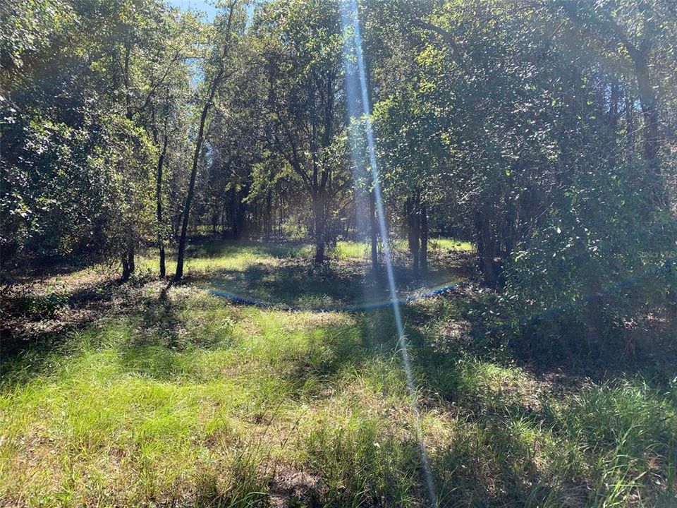 Recently Sold: $112,900 (5.01 acres)