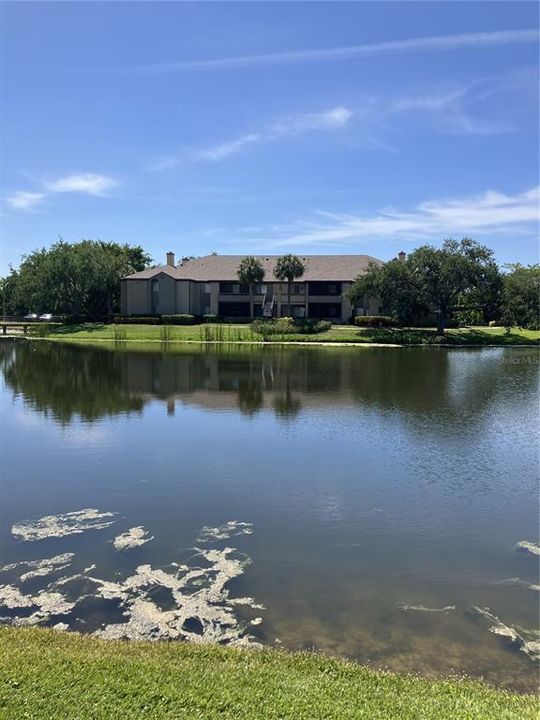 Recently Rented: $2,000 (2 beds, 2 baths, 1016 Square Feet)