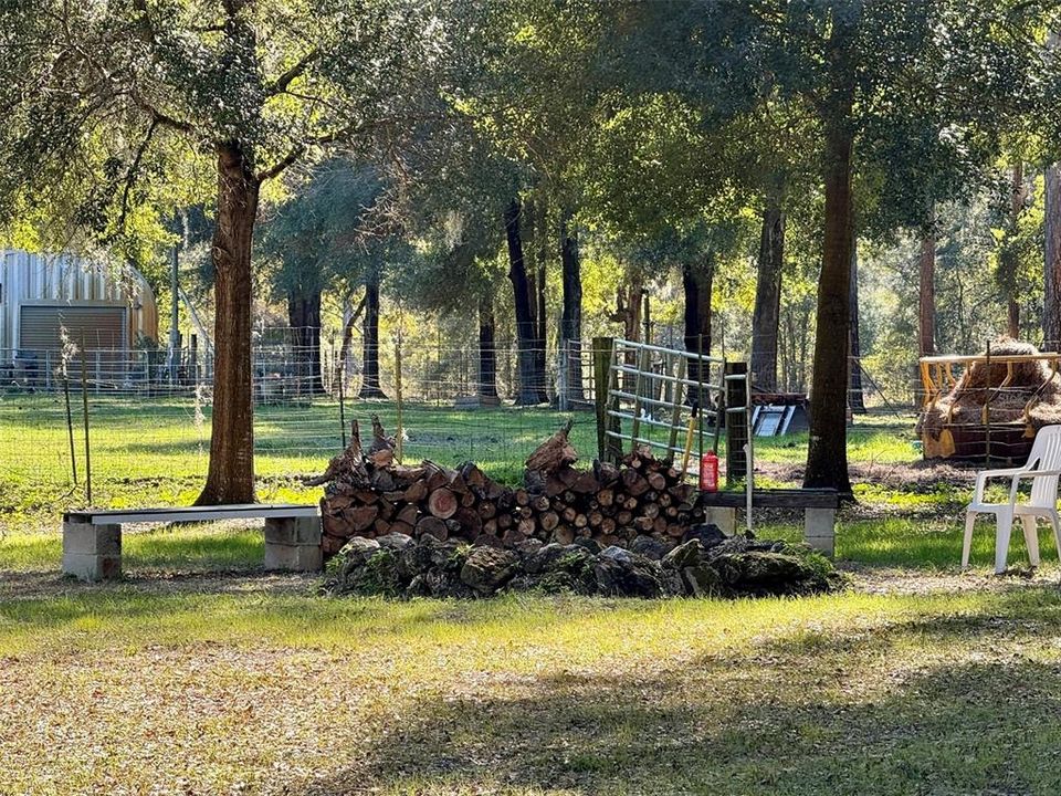 Fire pit + wood