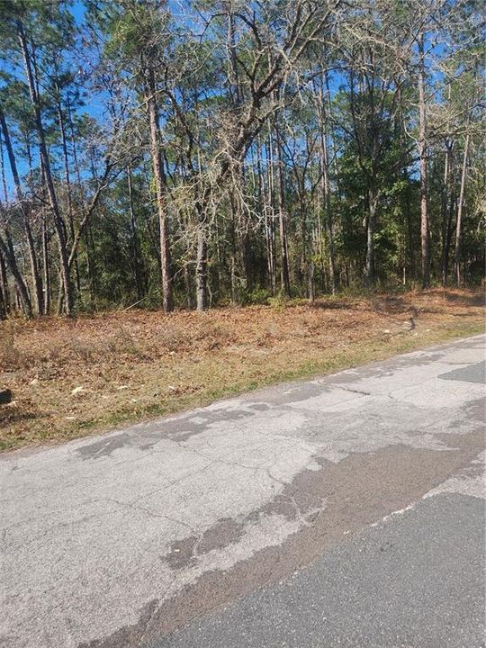 Active With Contract: $19,900 (0.24 acres)