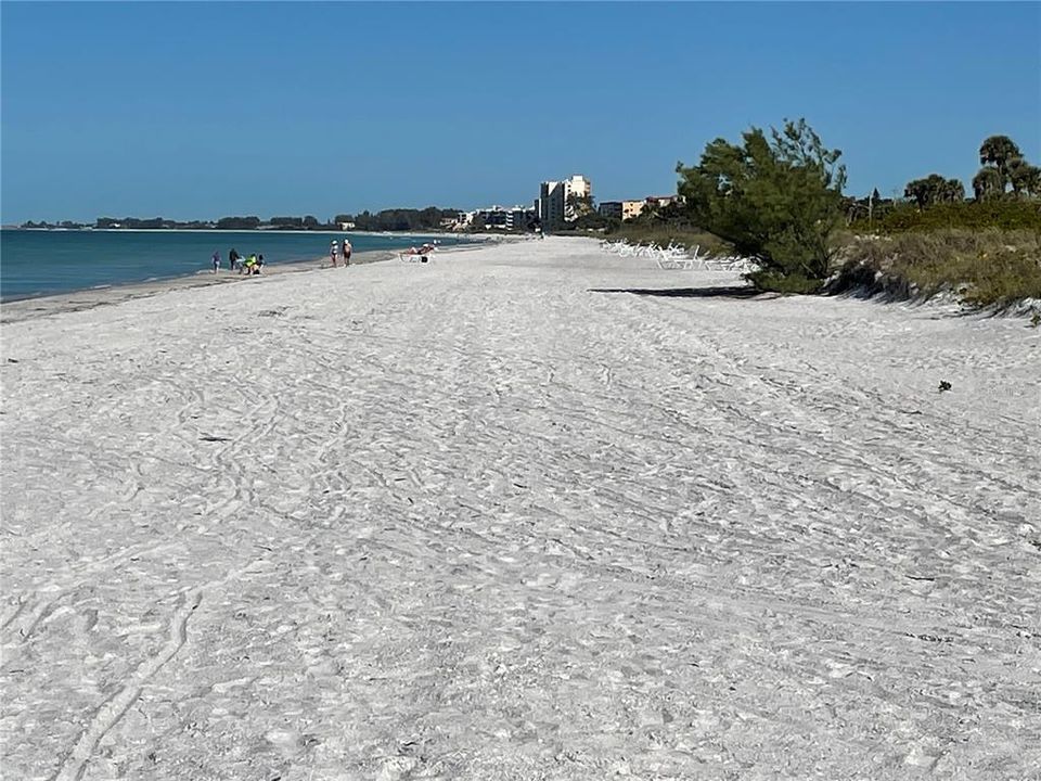 A typical busy day at the beach