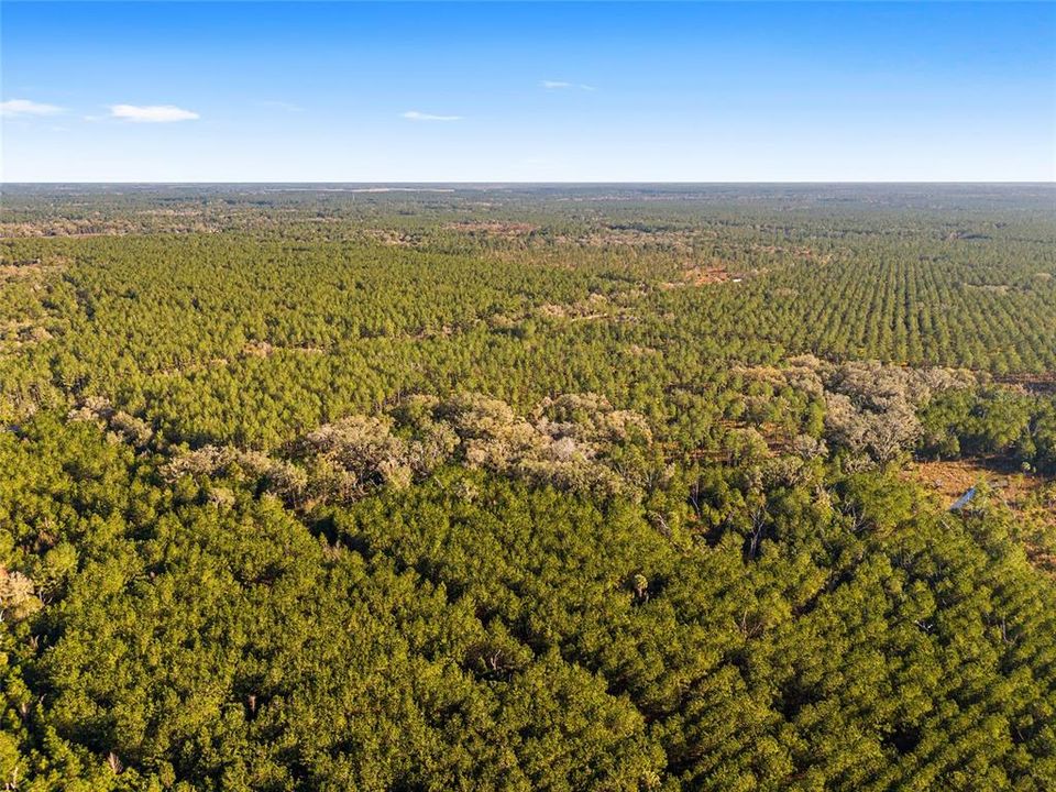 Recently Sold: $225,000 (19.73 acres)