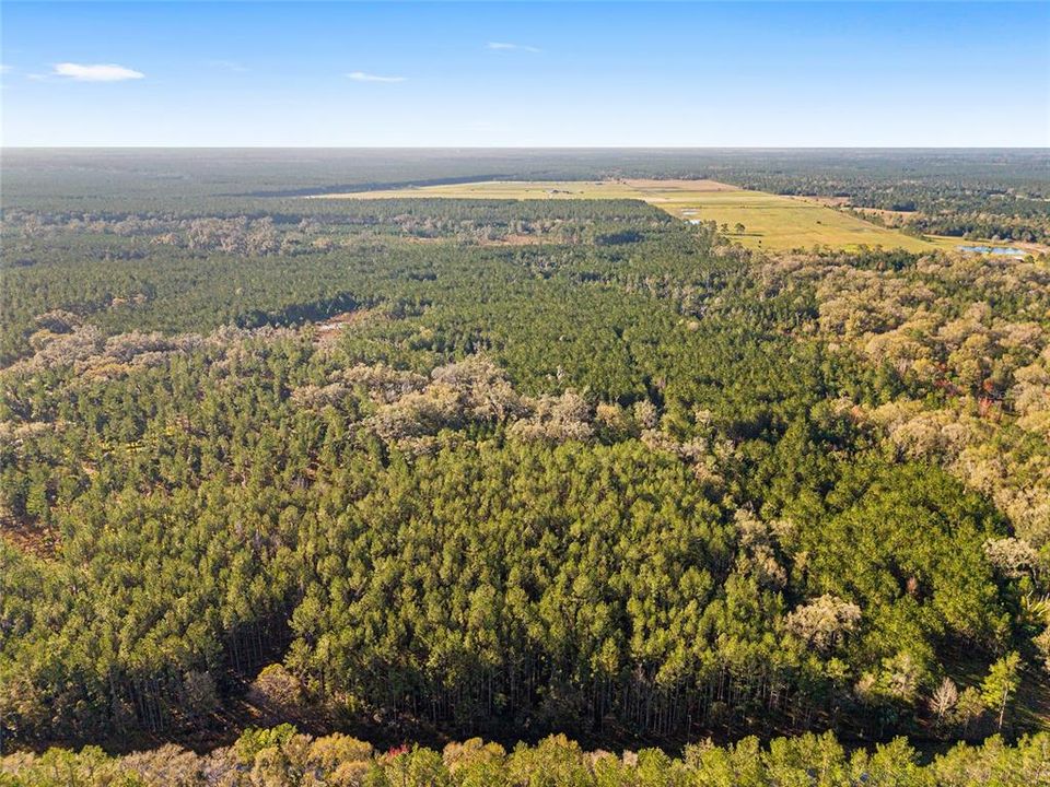 Недавно продано: $225,000 (19.73 acres)