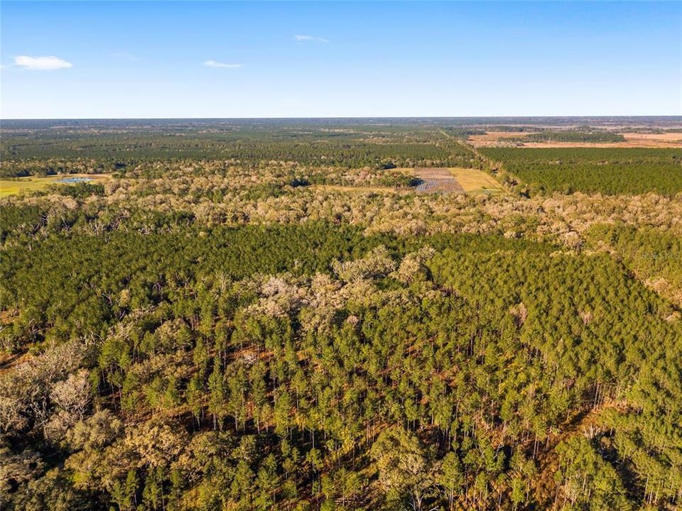 Vendido Recientemente: $225,000 (19.73 acres)