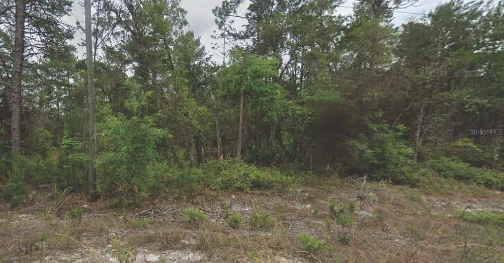 For Sale: $20,000 (0.40 acres)
