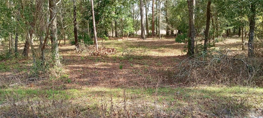 Vendido Recientemente: $24,000 (1.10 acres)