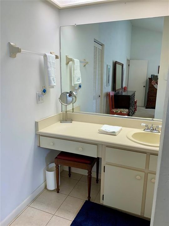 main bath sink area