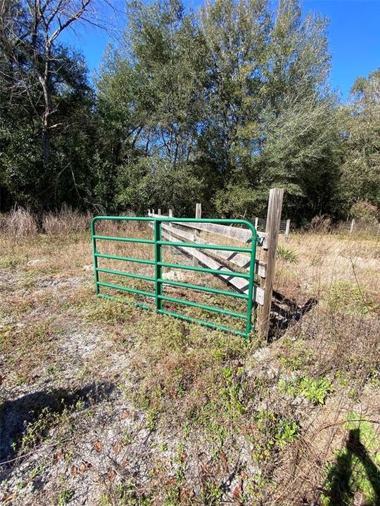 Gate to horse pasture