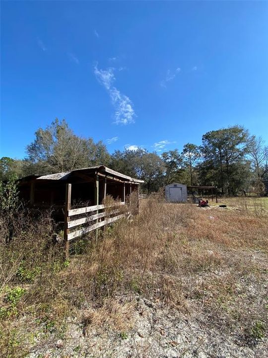 Horse pasture and Shed #1