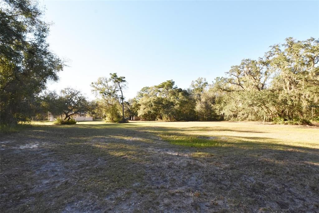 Back yard from treeline