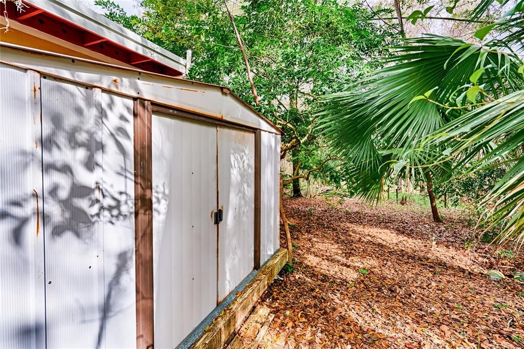 Shed in backyard