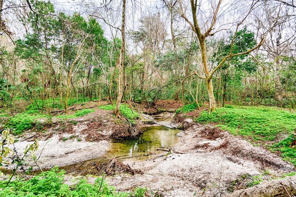 Creek behind the house which is apart of the property.