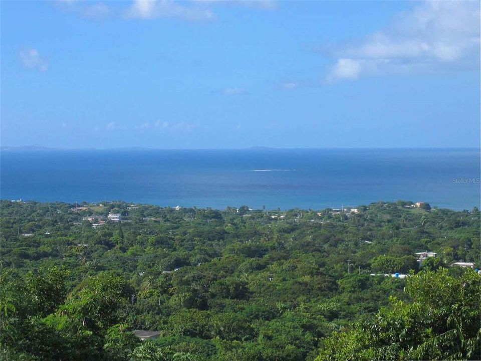 En Venta: $600,000 (3.90 acres)