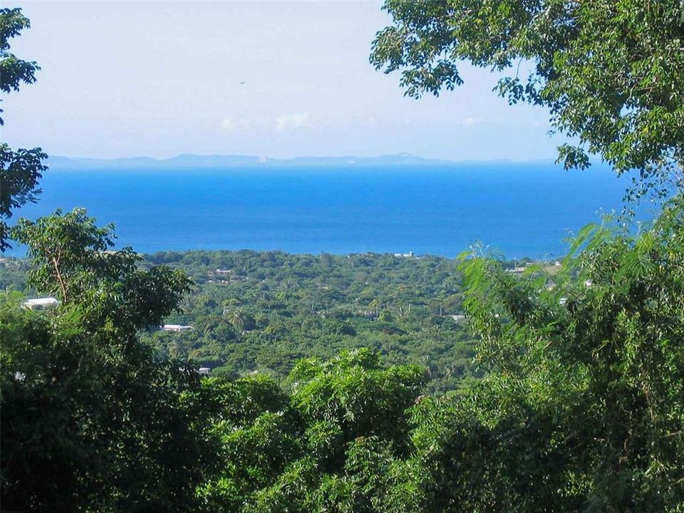 En Venta: $600,000 (3.90 acres)