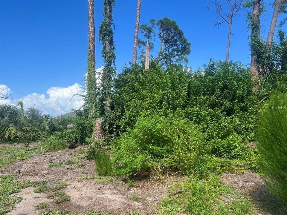 En Venta: $34,900 (0.23 acres)