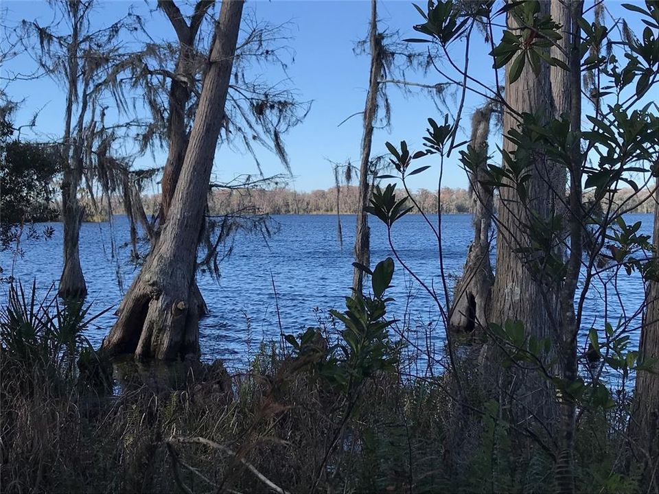 Lake Pickett View 2