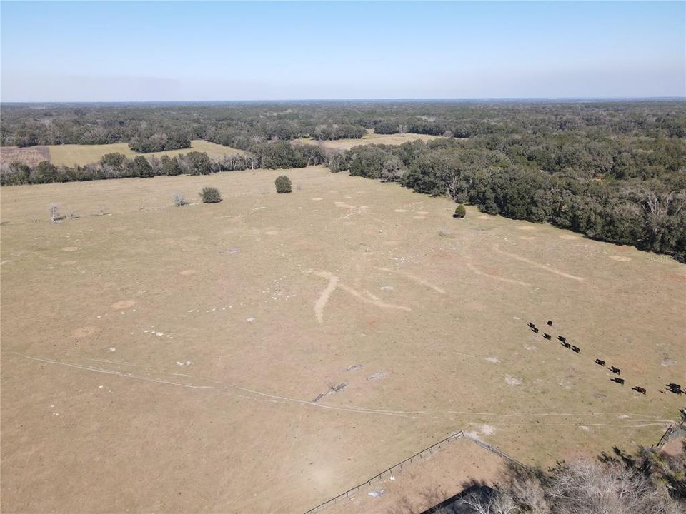 For Sale: $1,100,000 (78.35 acres)