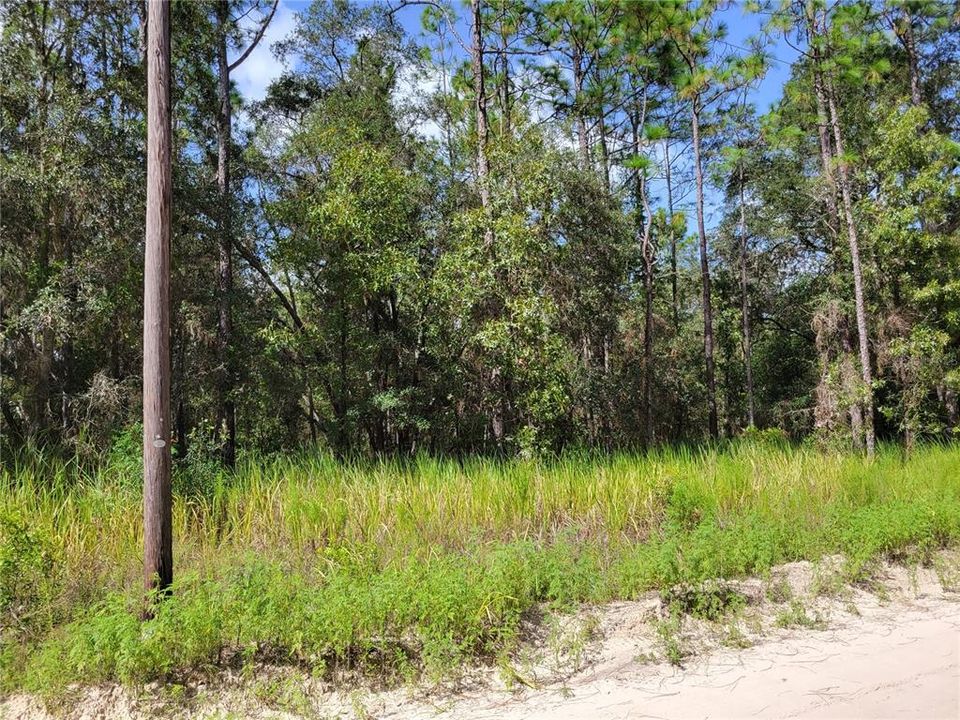 Active With Contract: $17,000 (1.20 acres)