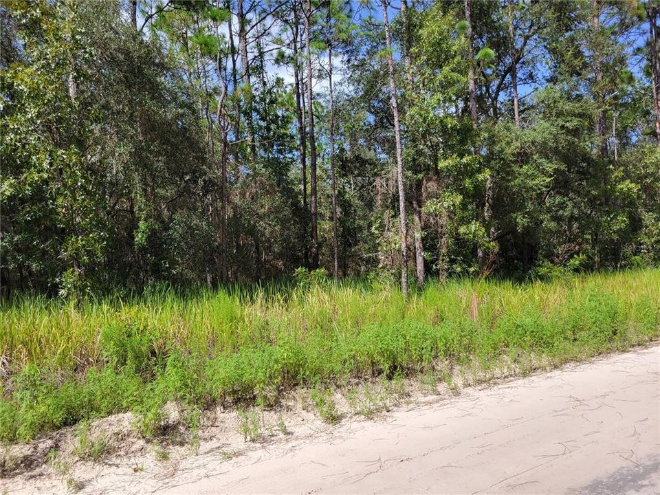 Active With Contract: $17,000 (1.20 acres)