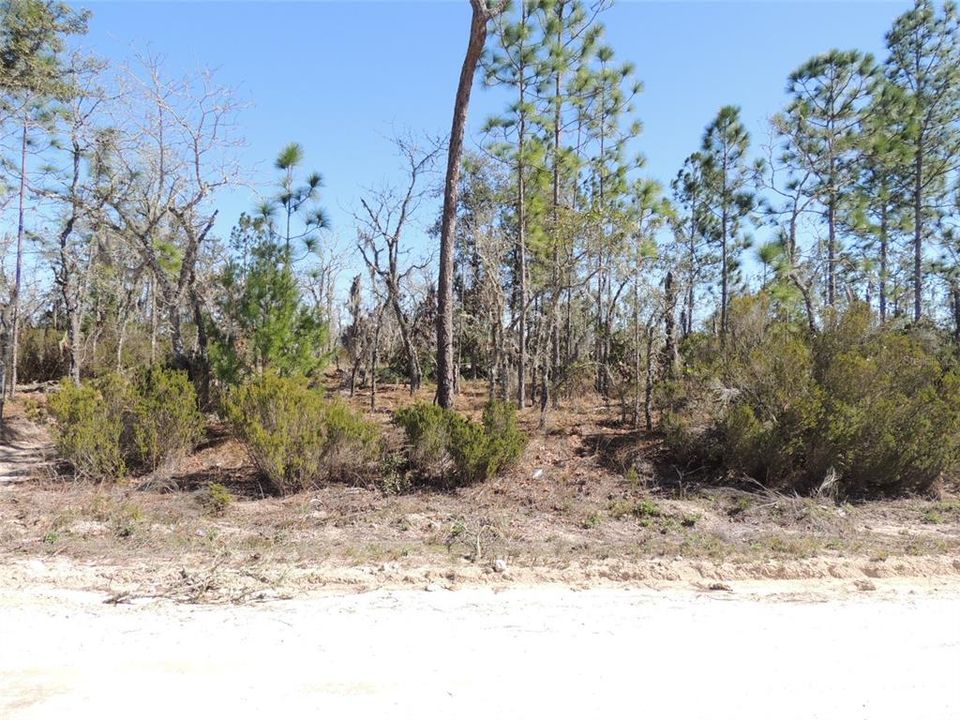 Active With Contract: $7,500 (0.23 acres)