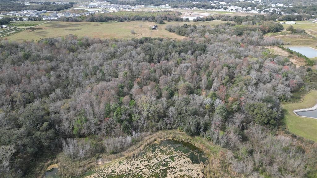 На продажу: $275,000 (17.52 acres)