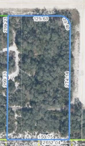 2301 W Little Rd, Avon Park Florida