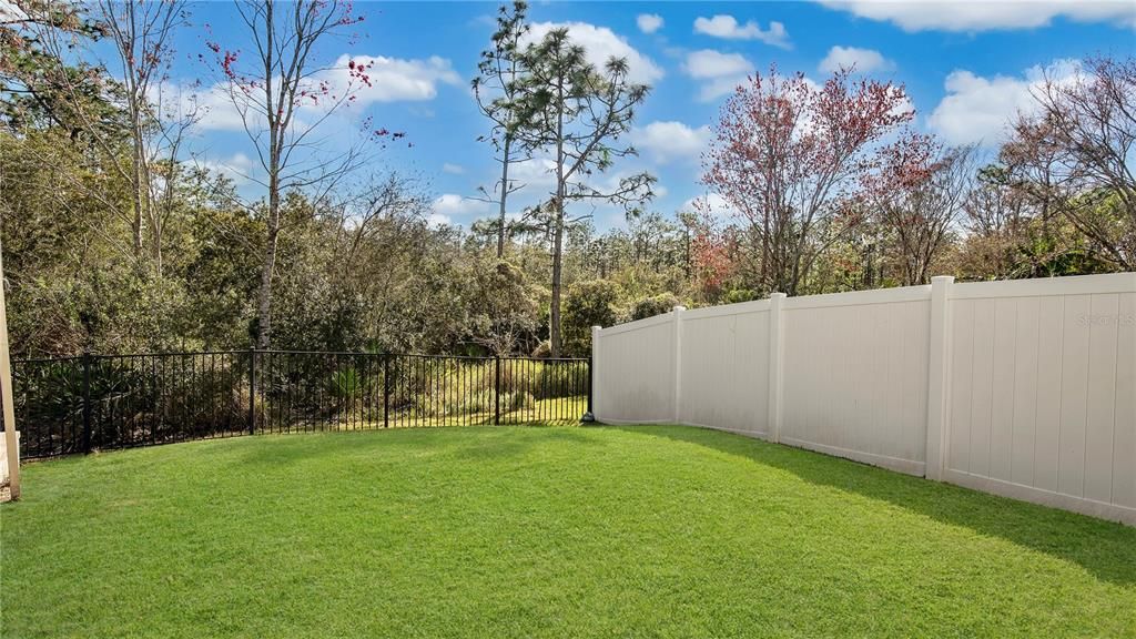 Large Yard with a Fence