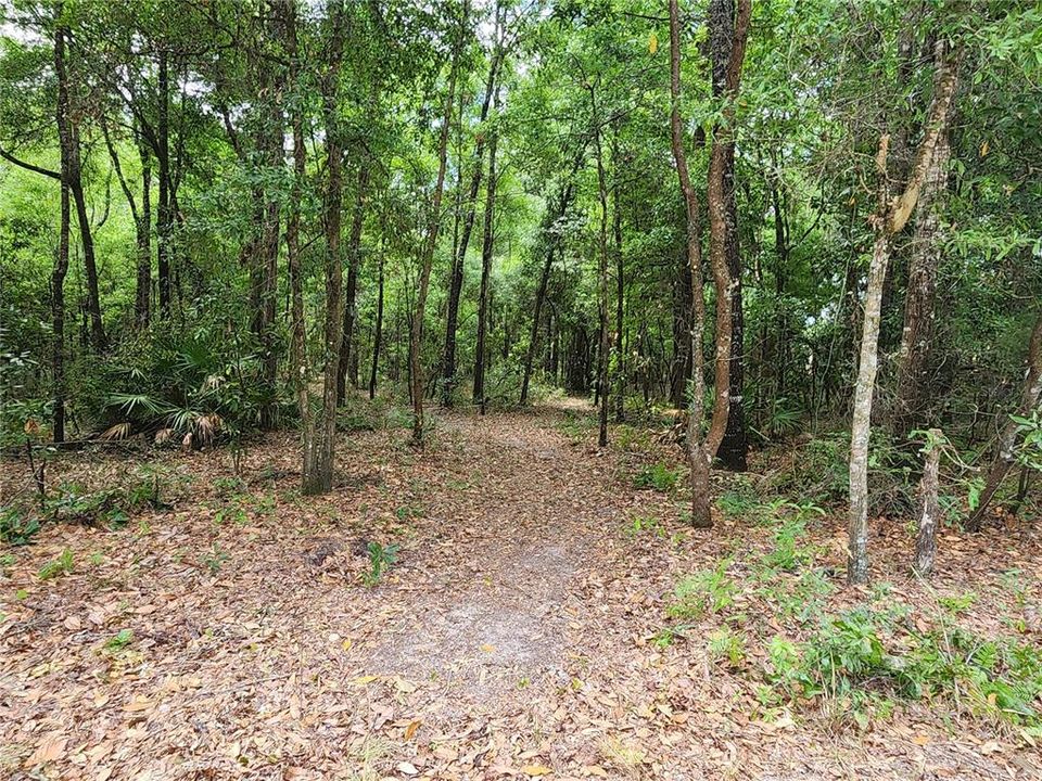 Vendido Recientemente: $84,900 (5.00 acres)