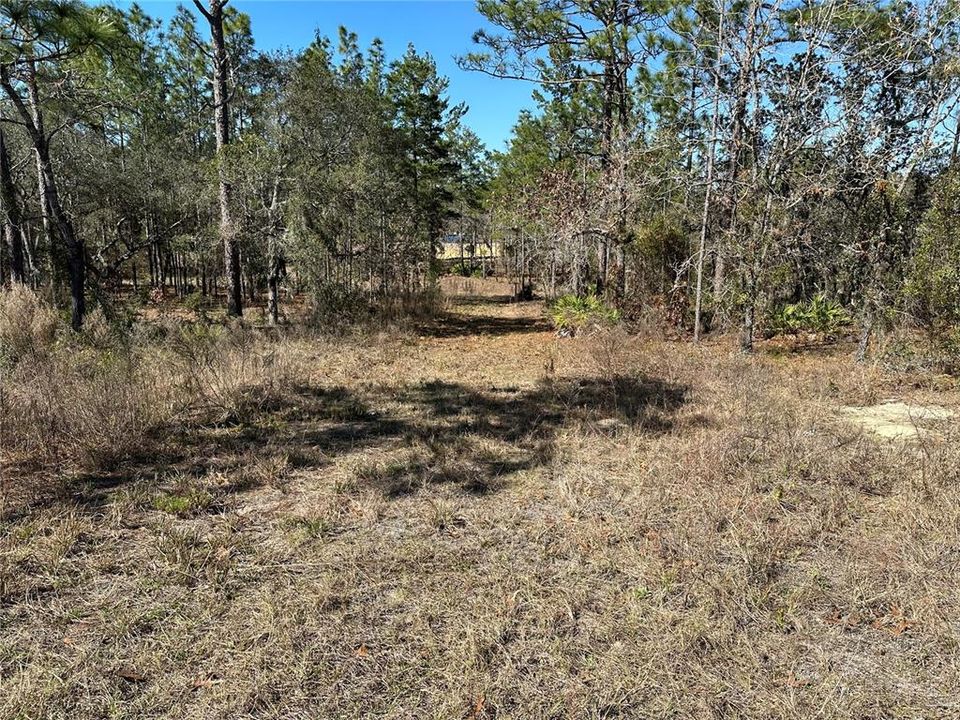 For Sale: $61,900 (0.32 acres)