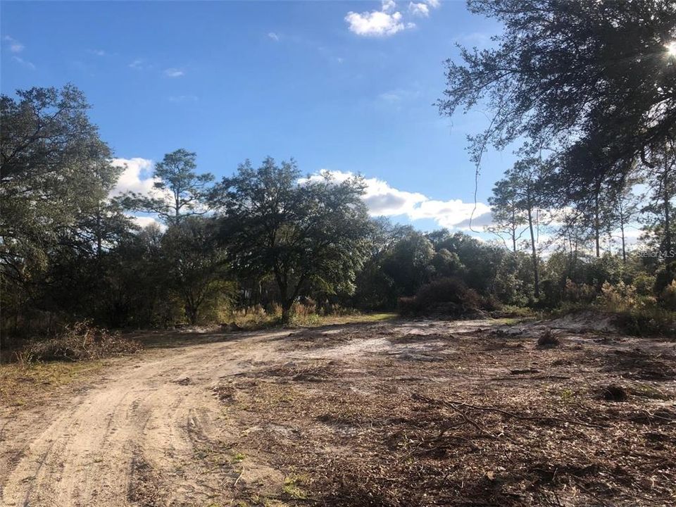 Recently Sold: $45,000 (1.25 acres)