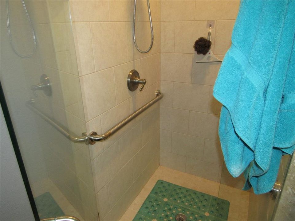 Completely separate Shower in Primary Bathroom View 1