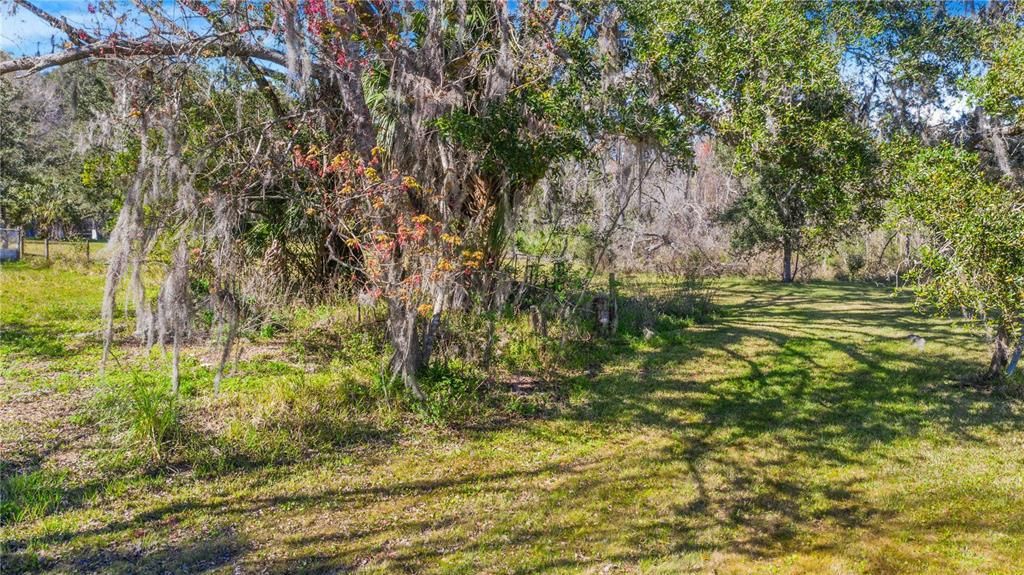 For Sale: $80,000 (1.55 acres)