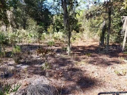 En Venta: $25,900 (1.25 acres)