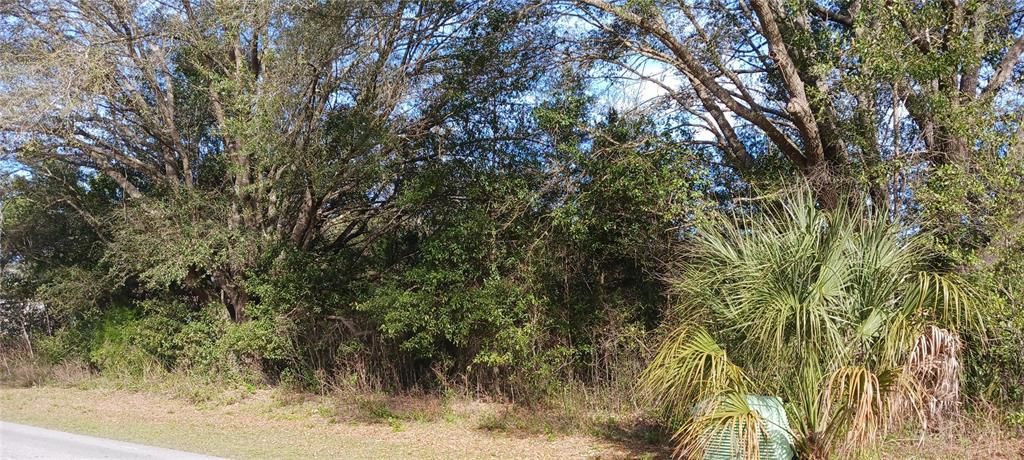 Recently Sold: $12,000 (0.24 acres)